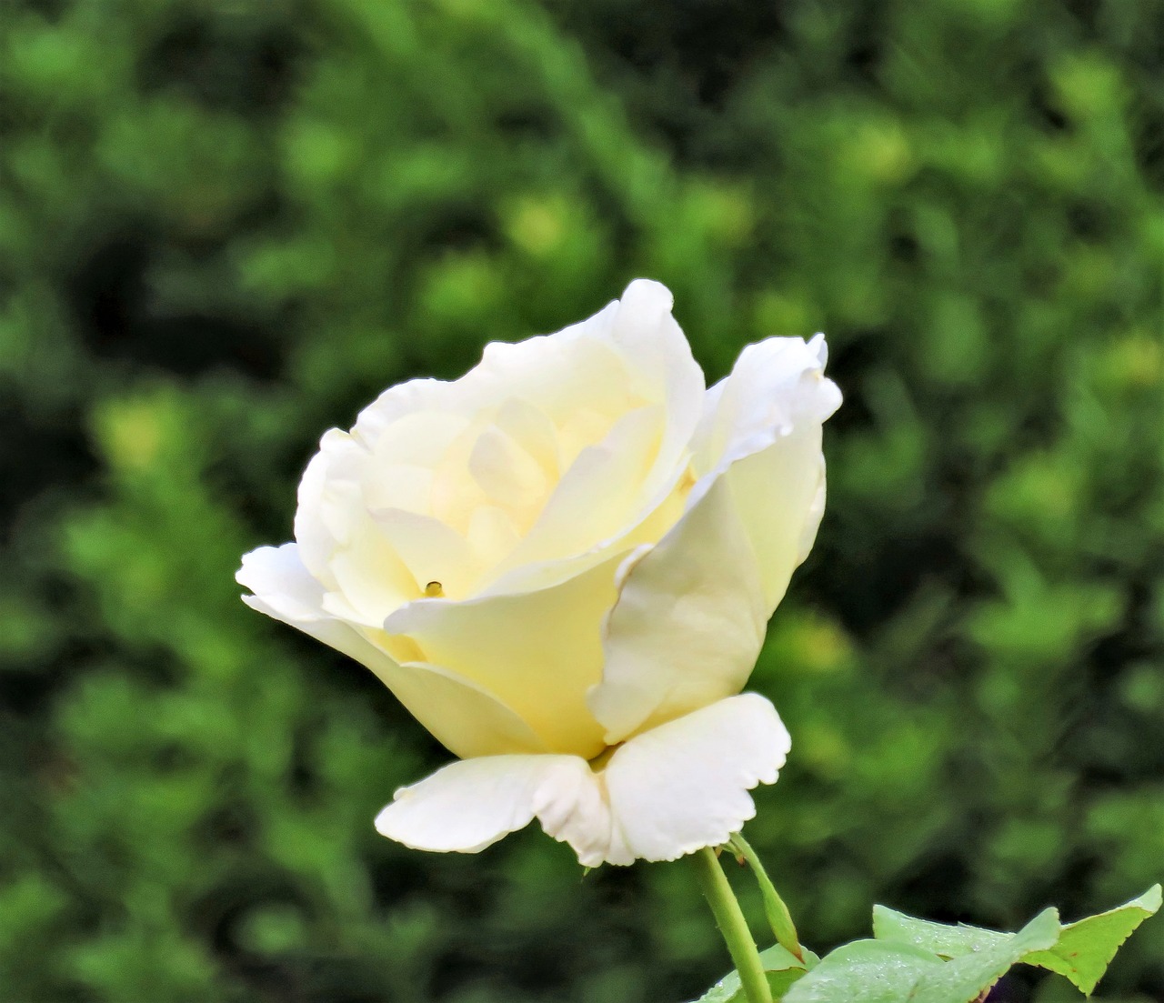 热点新闻 第465页