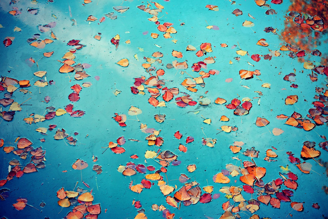 上上上个蛇年是哪一年，关于“上上上个蛇年”的探究：蛇年的历史意义与记忆方法