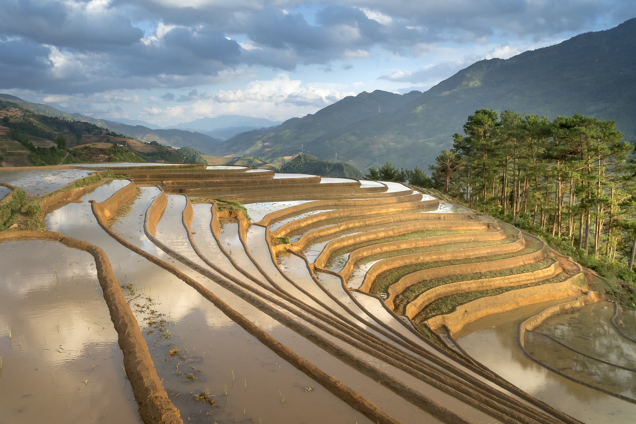 天水麦积山最新新闻，天水麦积山：旅游热潮持续，文物保护与生态改善齐头并进
