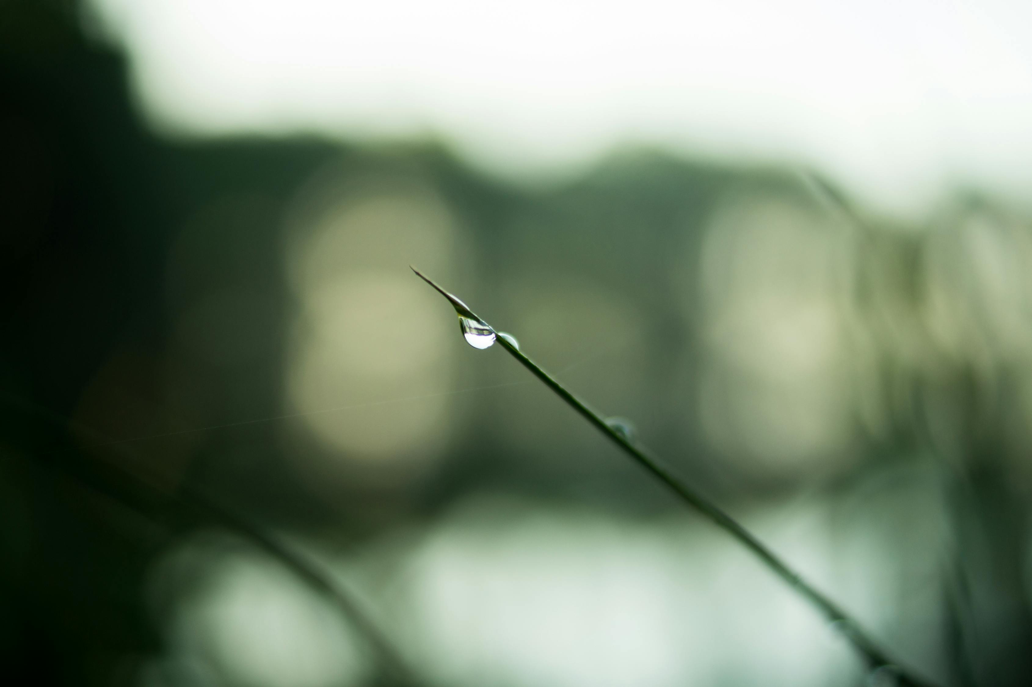 小满最新新闻，小满节气，最新动态与农业资讯一览