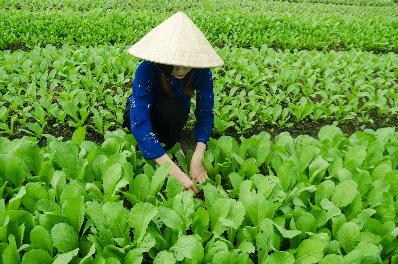 连江霞浦村疫情最新消息，连江霞浦村疫情实时动态通报