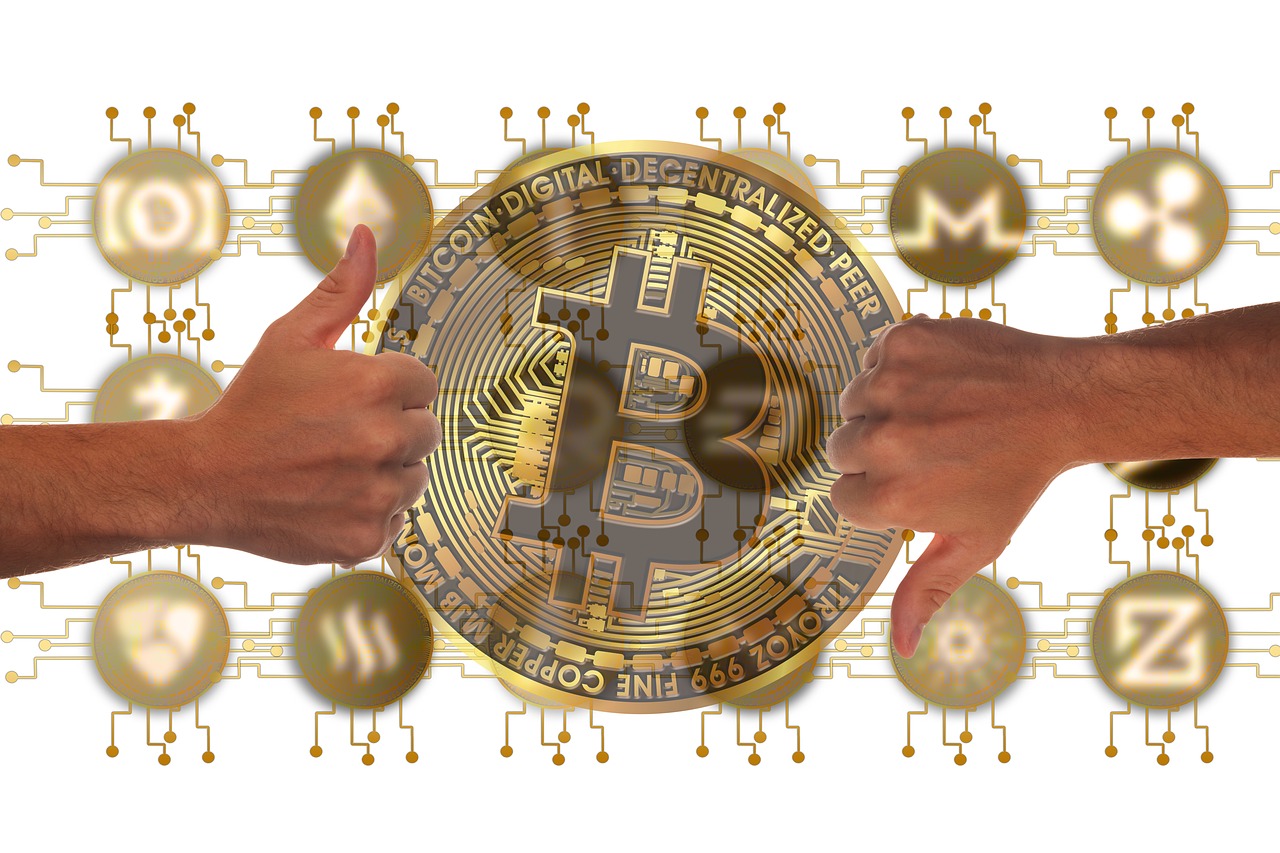 seele元一币最新消息，最新动态，seele元一币价格走势解析