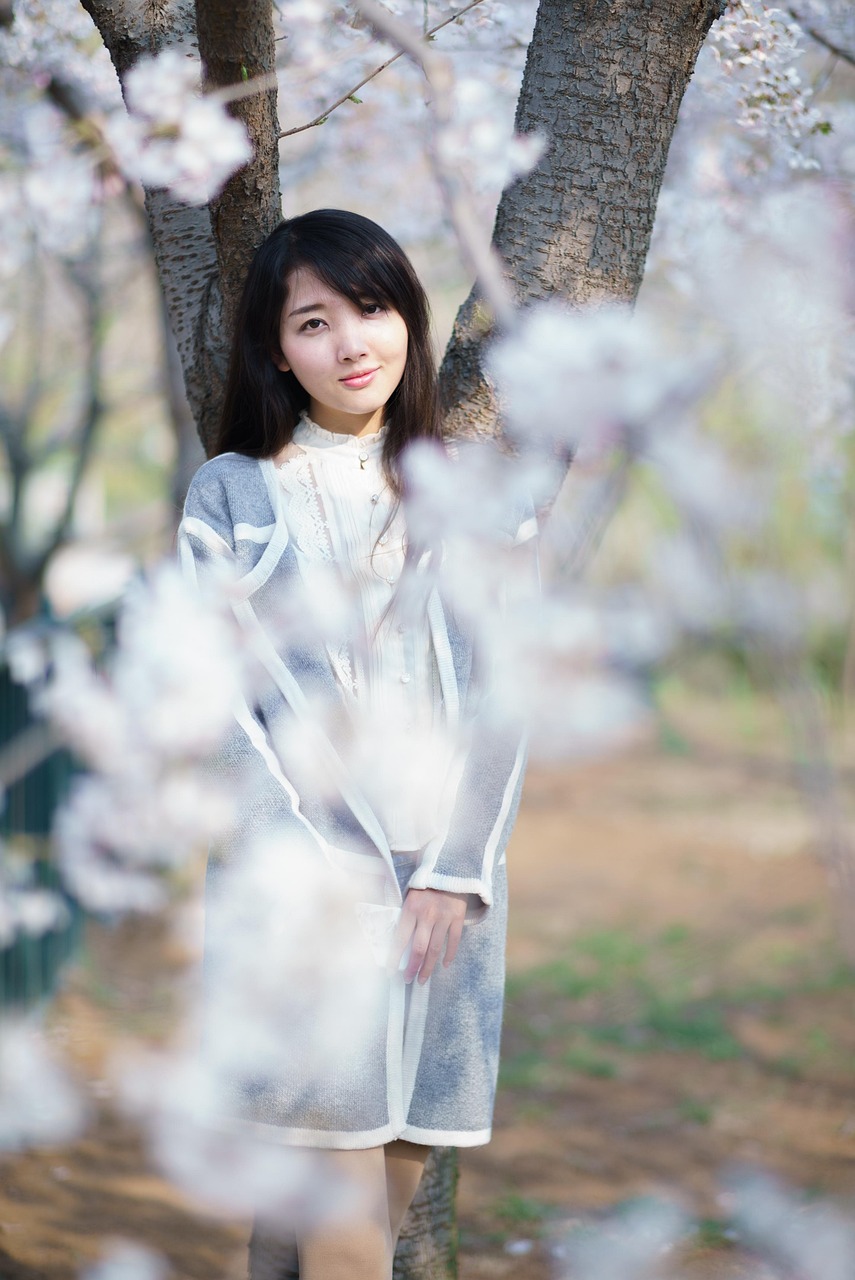 最新版樱花少女，最新版樱花少女的魅力绽放