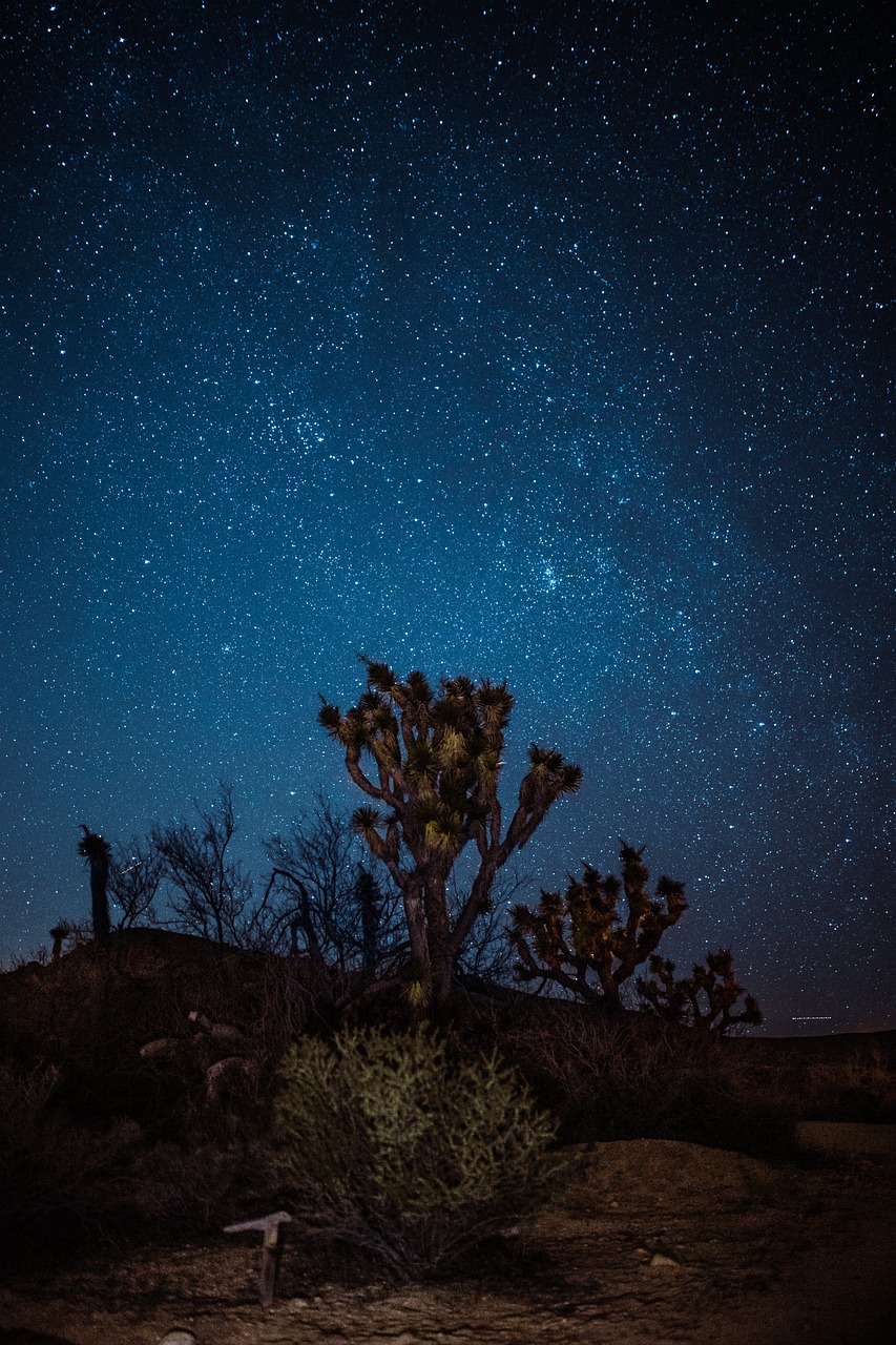历史三星中单排行榜最新解析，盘点电竞界的璀璨星辰，电竞中单传奇，三星中单排行榜深度解析