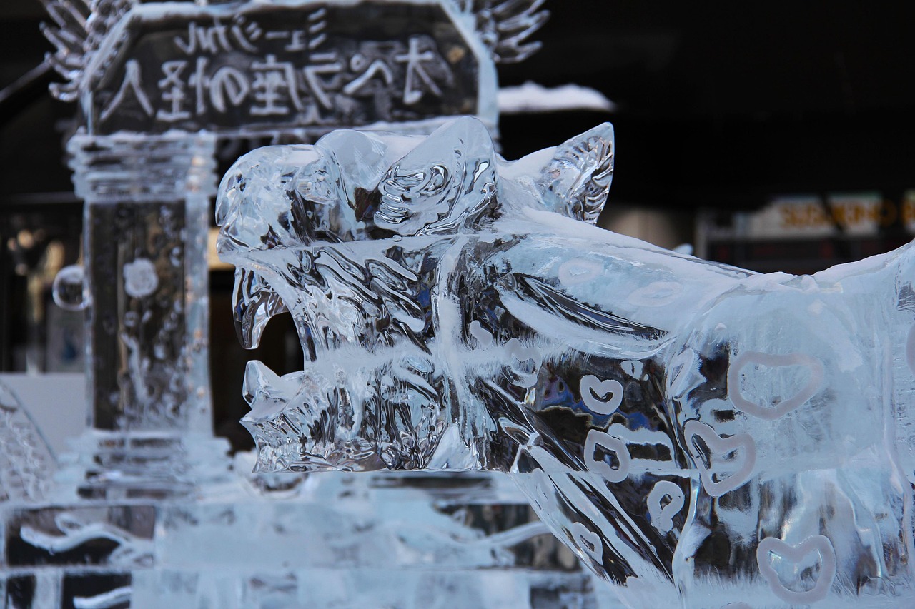 冬临最新的视频，冬临最新视频探秘：时尚潮流与冰雪奇缘的完美融合