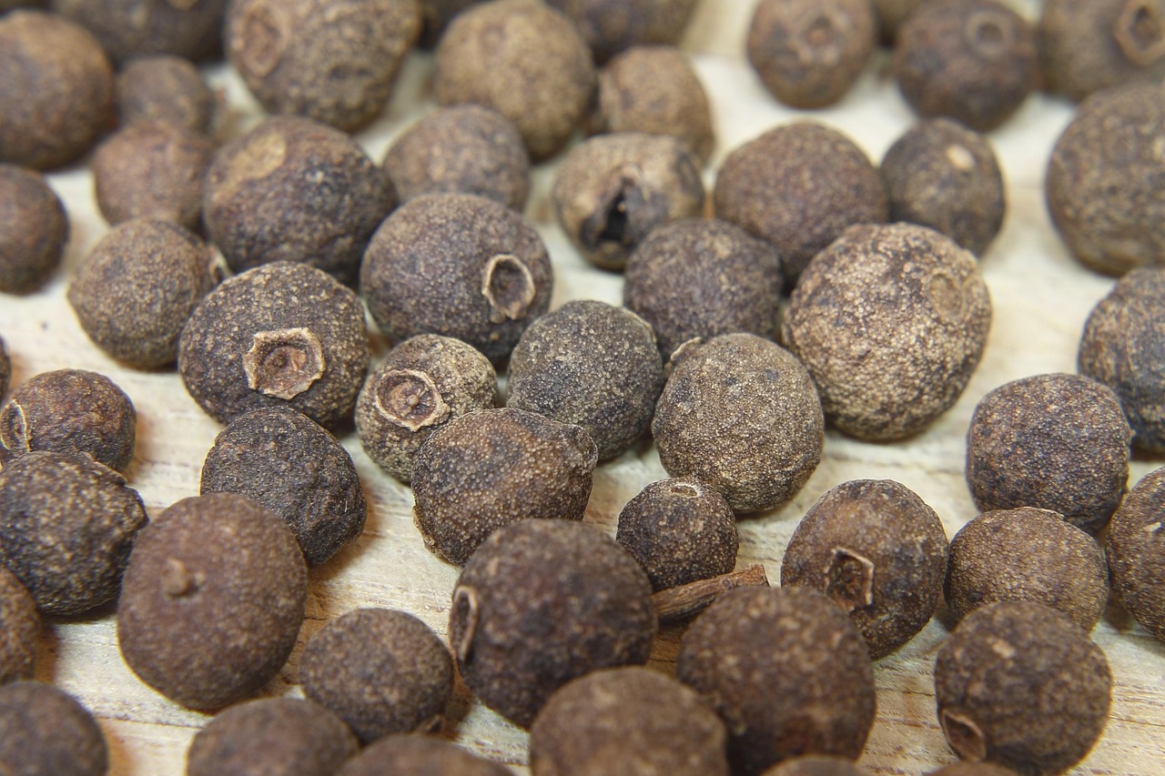 珍珠的最新吃法视频，珍珠新食法，视频大赏