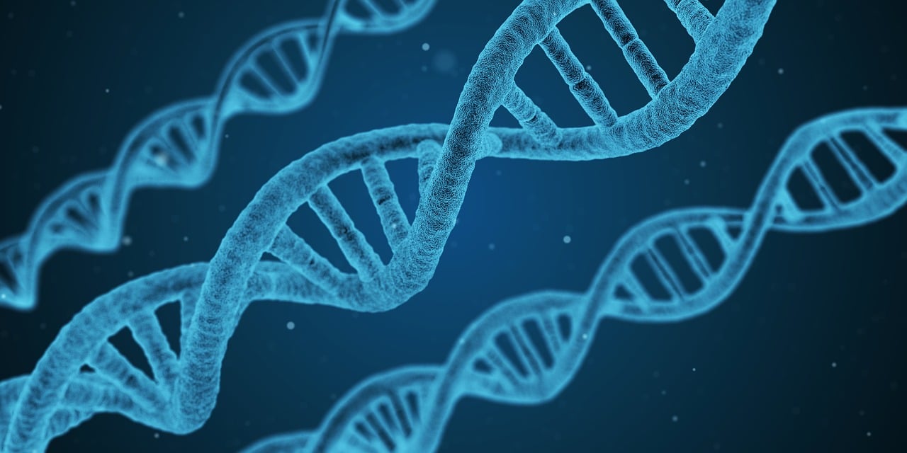 北京大学跨学部化学生物学中心（医学部）面向海内外诚聘学术带头人