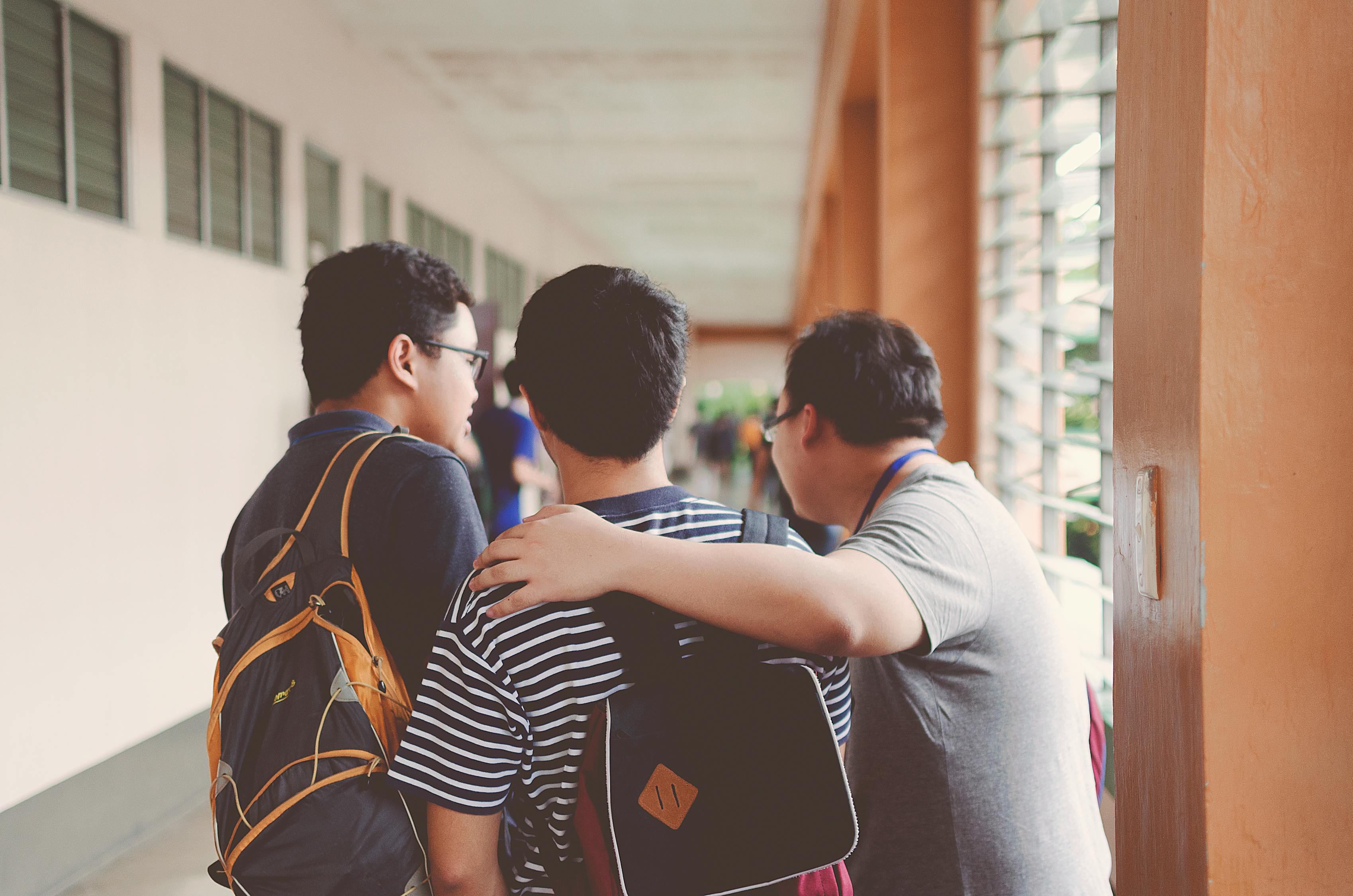 广平小学最新信息网官网，广平小学最新信息网官网全面介绍：了解学校发展、动态与特色功能